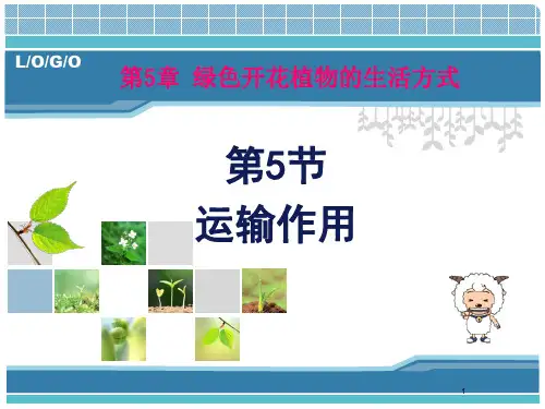 第5节  运输作用PPT课件