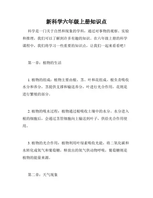 新科学六年级上册知识点