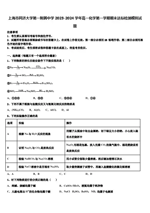 上海市同济大学第一附属中学2023-2024学年高一化学第一学期期末达标检测模拟试题含解析
