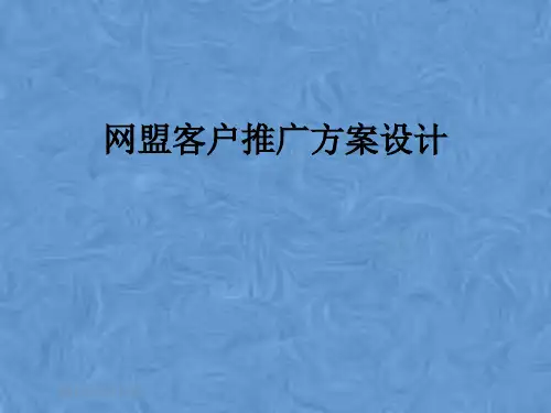 网盟客户推广方案设计