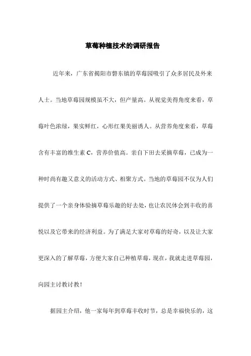 草莓种植技术的调研报告