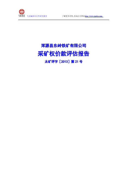 浑源县东岭铁矿有限公司采矿权价款评估报告