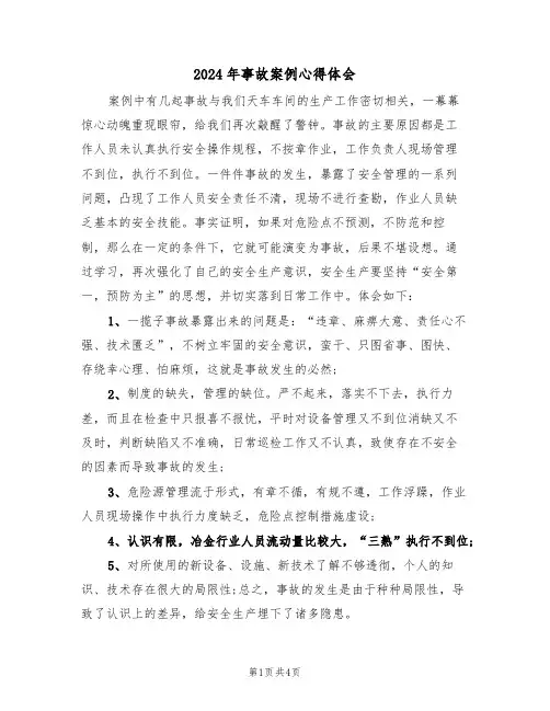 2024年事故案例心得体会(2篇)