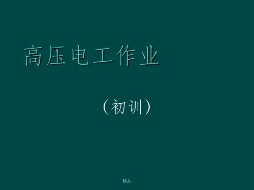 高压电工作业(国家版教材)第一章