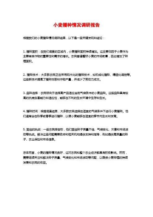 小麦播种情况调研报告