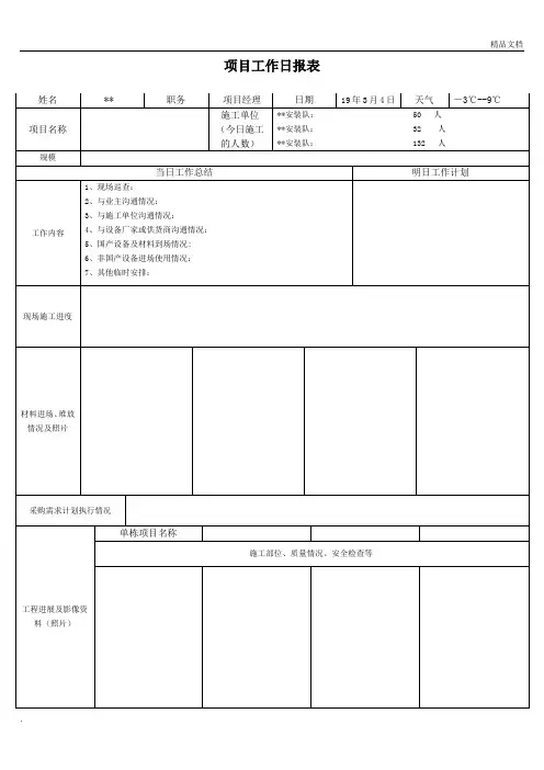 项目工作日报表模板