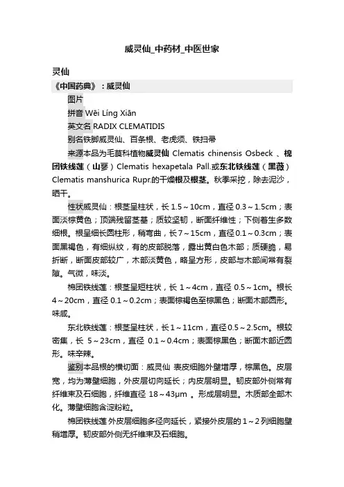 威灵仙_中药材_中医世家