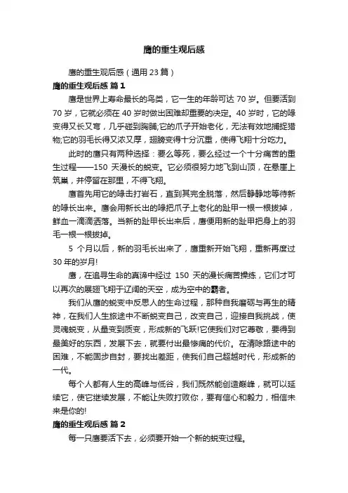 鹰的重生观后感