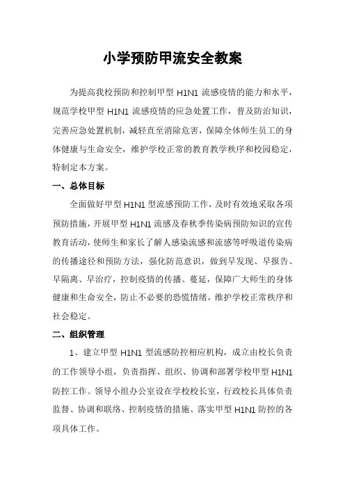 小学预防甲流安全教案