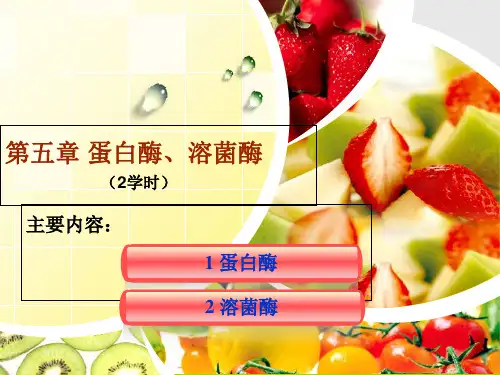 第五章 蛋白酶溶菌酶