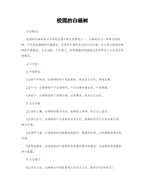 校园的白杨树