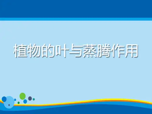 《植物的叶与蒸腾作用》PPT【精选推荐课件】