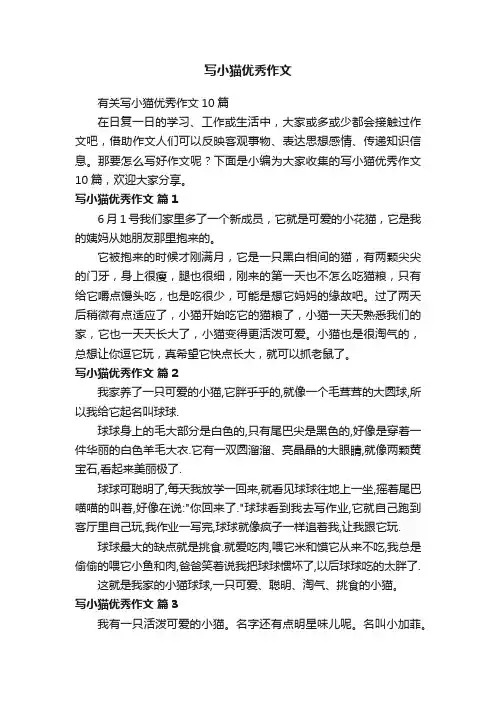 有关写小猫优秀作文10篇