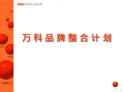 万科品牌整合计划方案研讨(ppt 20页)