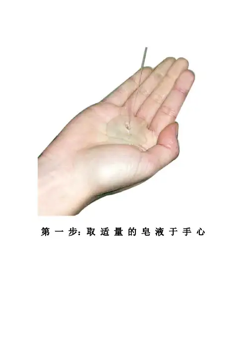 世界卫生组织六布洗手法