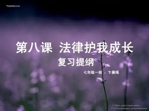 初中政治第八课---法律护我成长