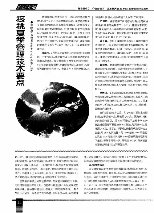 核桃夏季管理技术要点