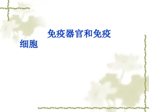 免疫器官和免疫细胞ppt课件