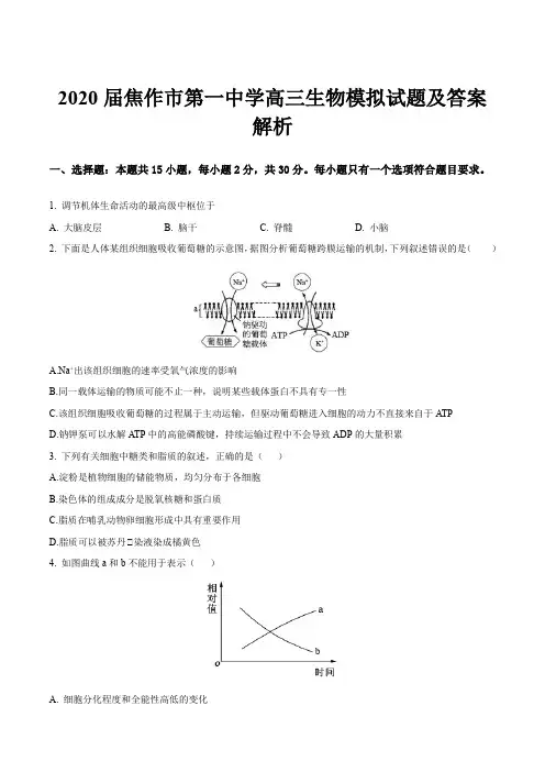 2020届焦作市第一中学高三生物模拟试题及答案解析