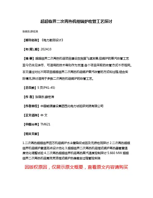 超超临界二次再热机组锅炉吹管工艺探讨