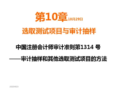 10.审计抽样演示教学