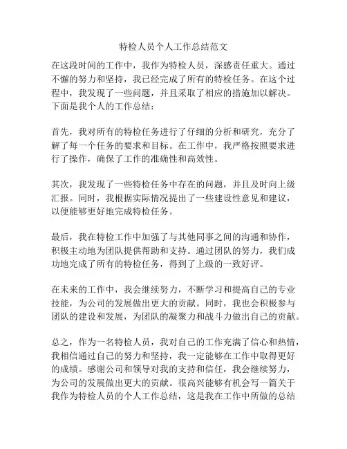特检人员个人工作总结范文