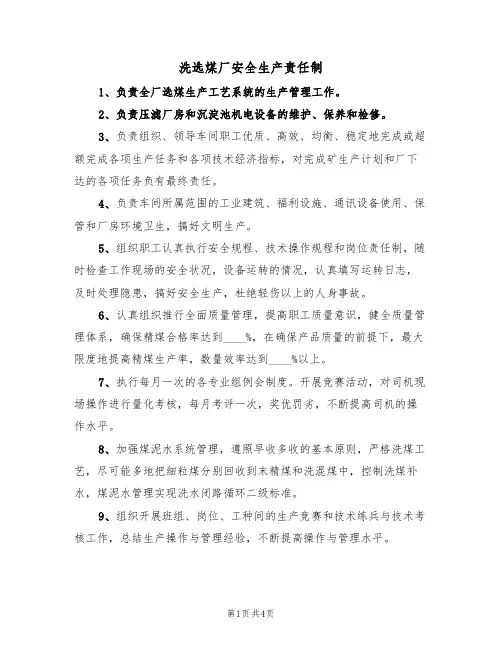 洗选煤厂安全生产责任制(3篇)