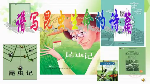 部编版八年级上册语文第五单元名著导读《昆虫记》课件(共28张ppt)