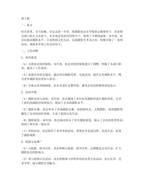 校摄影协会年度总结(3篇)