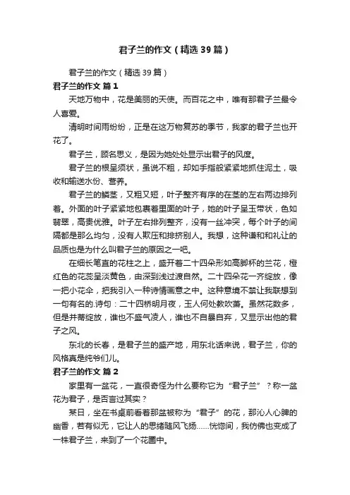 君子兰的作文（精选39篇）