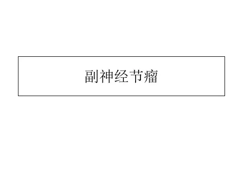 副神经节瘤-医学资料