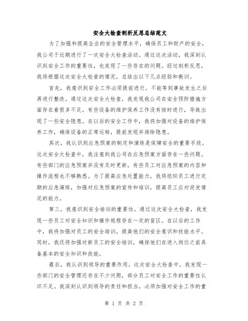 安全大检查剖析反思总结范文
