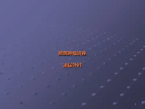 膀胱肿瘤讲座ppt课件
