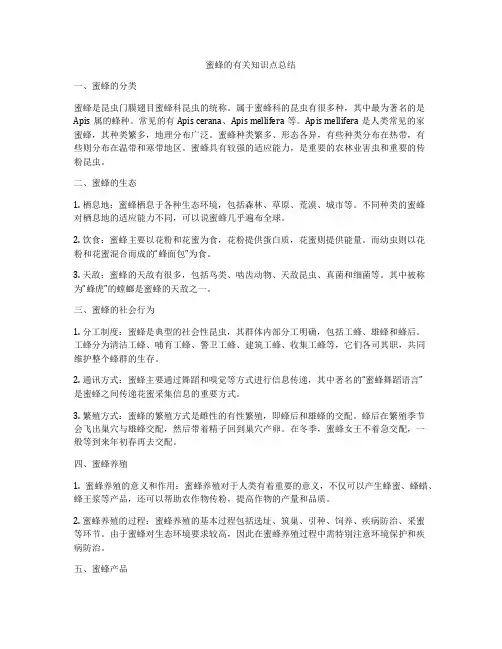 蜜蜂的有关知识点总结