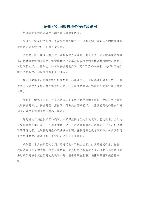 房地产公司股东职务侵占罪案例