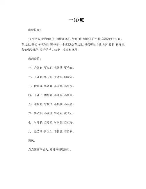 一年级班级简介(1)