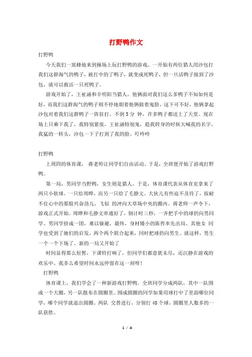 打野鸭作文