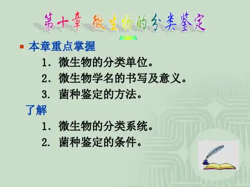 微生物分类鉴定