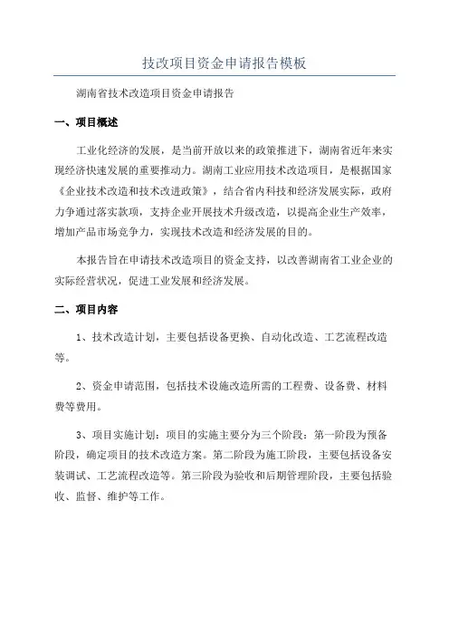 技改项目资金申请报告模板