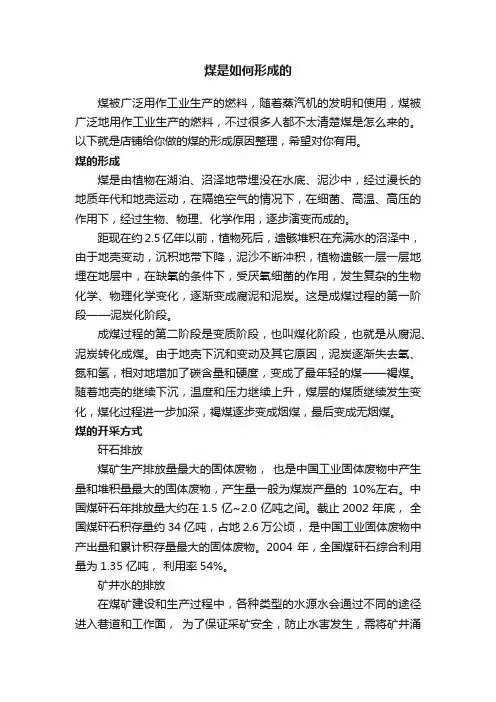 煤是如何形成的