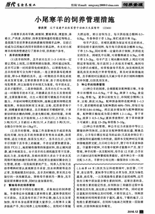 小尾寒羊的饲养管理措施