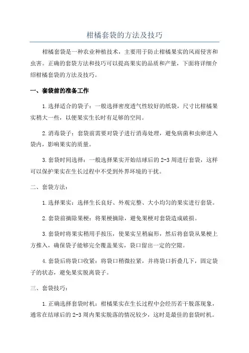 柑橘套袋的方法及技巧