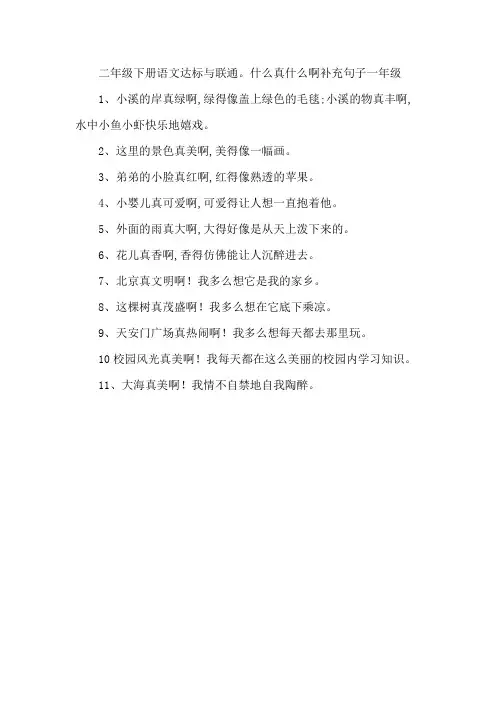 二年级下册语文达标与联通。什么真什么啊补充句子一年级