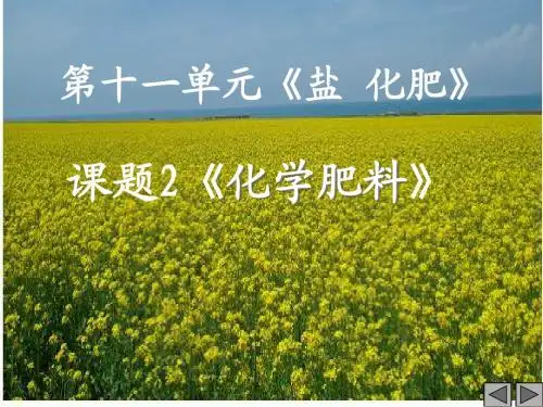 人教版九年级化学下第十一单元《盐 化肥》课题2《化学肥料》公开课教学课件共28张PPT(共28张PPT)