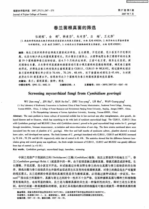 春兰菌根真菌的筛选