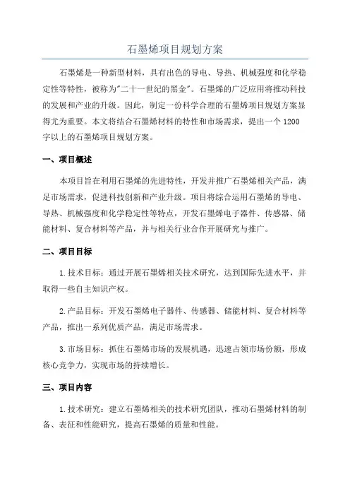 石墨烯项目规划方案