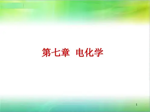 物理化学_电化学