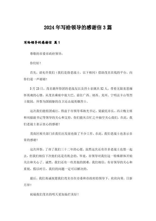 2024年写给领导的感谢信3篇_8