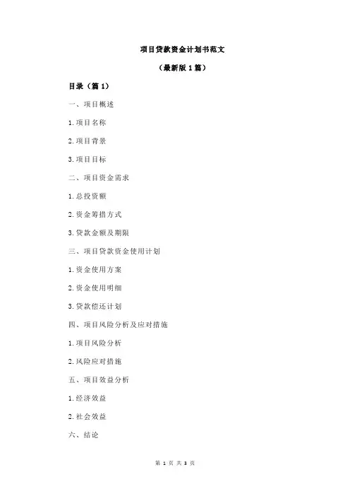 项目贷款资金计划书范文