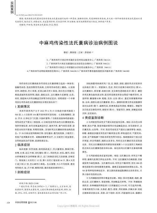 中麻鸡传染性法氏囊病诊治病例图说